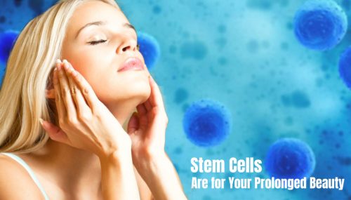 Stem Cells Are for Your Prolonged Beauty